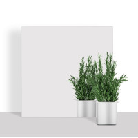 Акрилове дзеркало самоклейка, квадратне, що не б'ється, 29,5х29,5см (OS-MR-07)